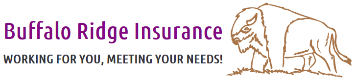 Buffalo Ridge Insurance